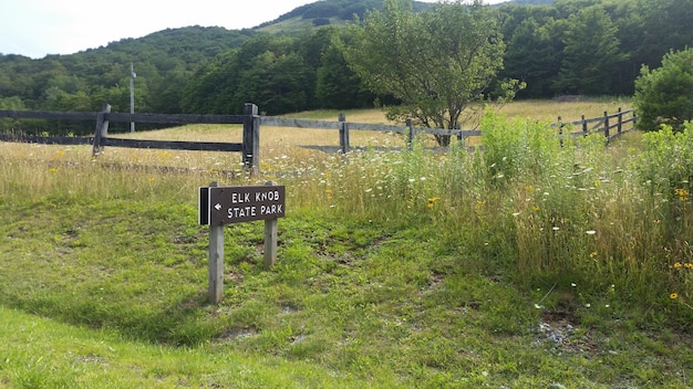 Foto segno informativo sul campo contro gli alberi