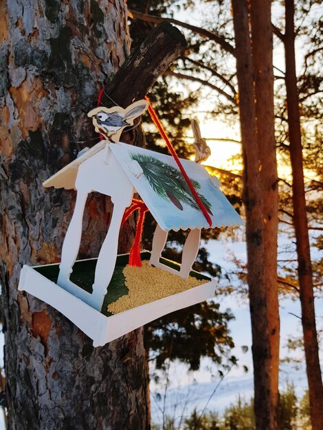 Photo information sign hanging on tree trunk during winter