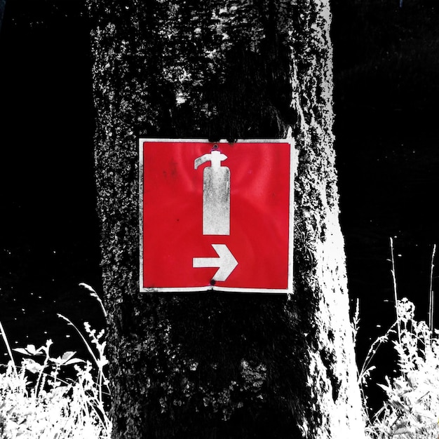 사진 나무 줄기에 있는 정보 표지판
