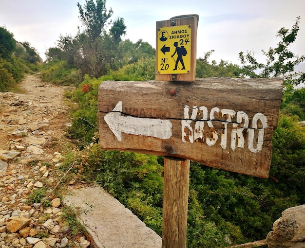 Foto segno di informazione sulla strada dagli alberi contro il cielo