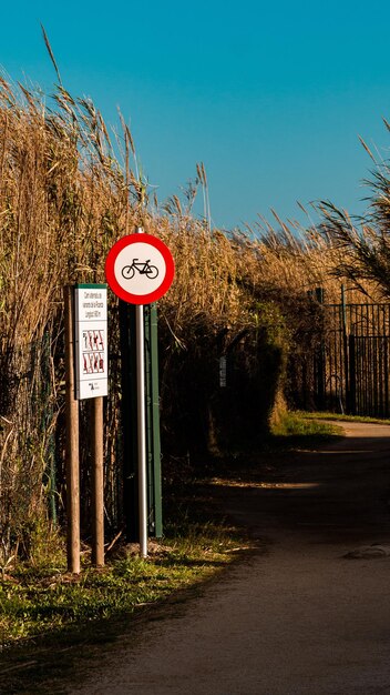 Foto segno informativo sulla strada dagli alberi contro il cielo