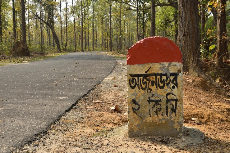 फोटो information sign on road by trees in forest