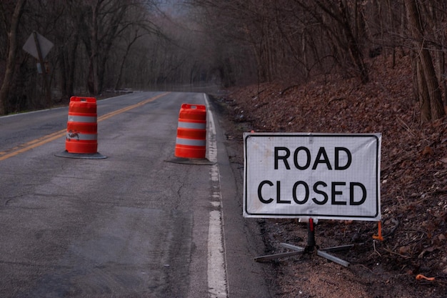 Photo information sign on road by trees