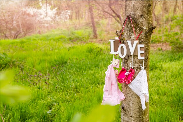 Photo information sign on tree trunk in field