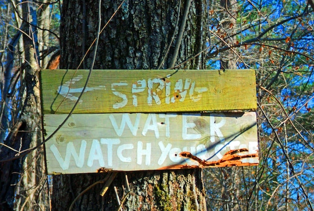 Photo information sign on tree trunk in forest