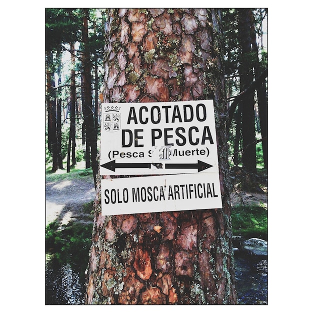 information sign on tree trunk