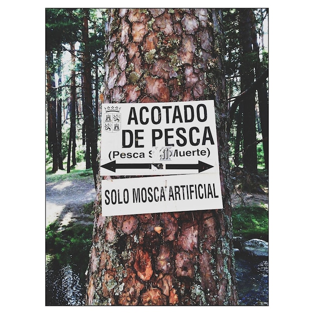 Photo information sign on tree trunk