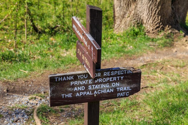 Photo information sign on wood