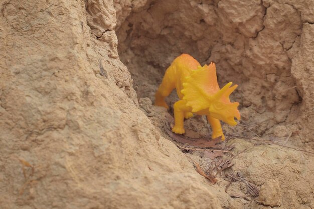 infrared image of the dinosaur toys the dried plateau hill