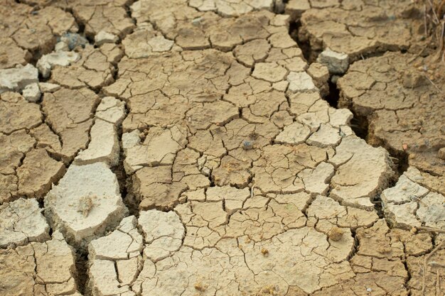 Infrared image of the earth surface soil crack due to the drought