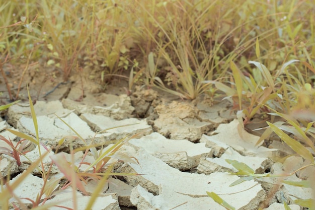 Infrared image of the earth surface soil crack due to the drought