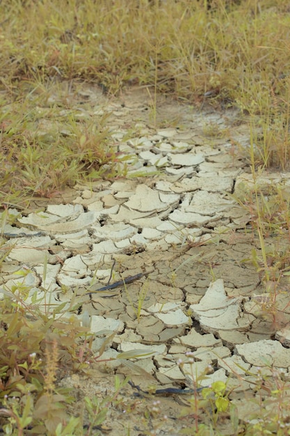 Photo infrared image of the earth surface soil crack due to the drought