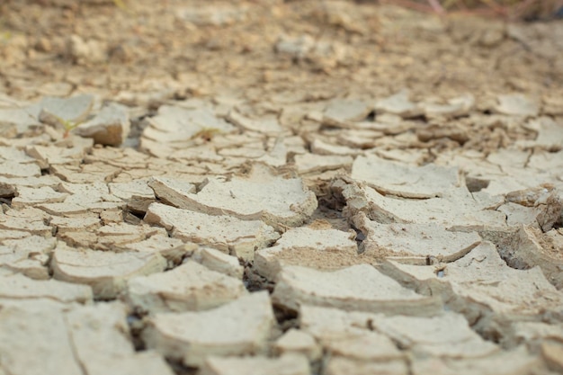 干ばつによる地球表面の土裂け目の赤外線画像