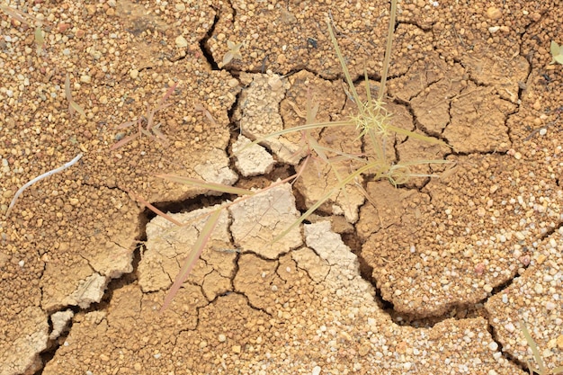 Infrared image of the earth surface soil crack due to the drought