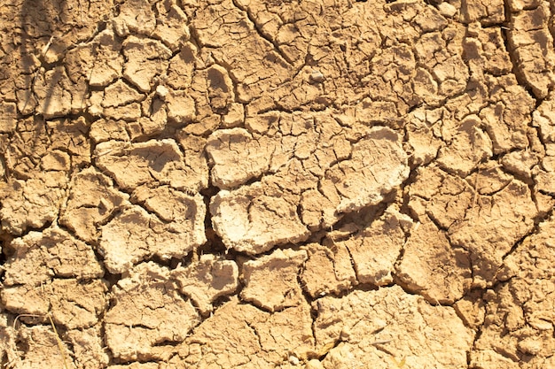 Infrared image of the earth surface soil crack due to the drought