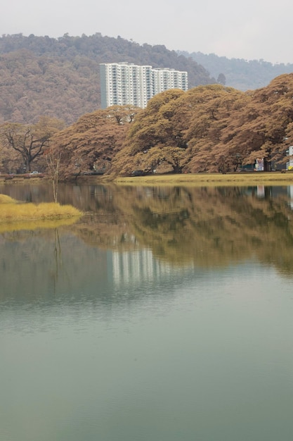 infrared image of the foliage by the lake