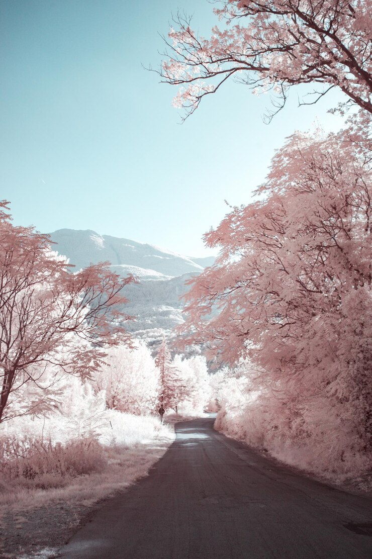 Photo 農村風景の赤外線写真