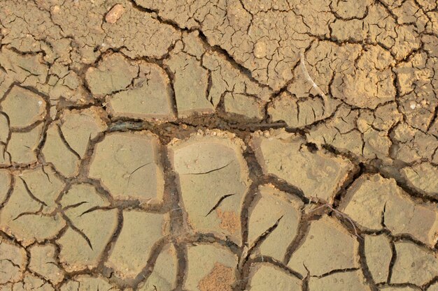 Infraroodbeeld van de scheur in de bodem van het aardoppervlak als gevolg van de droogte