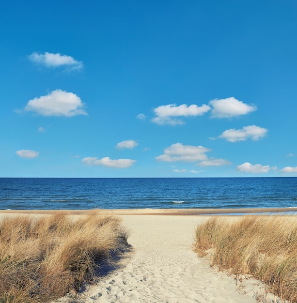 Foto ingang aan het strand in rugen-eiland, noordelijk duitsland