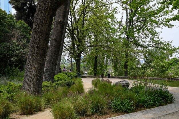 Foto ingang van het gemeentelijk park met bomen en schaduwrijke paden