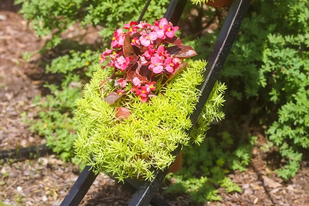 Ingemaakte bloemen die buiten hangen Buitendecor