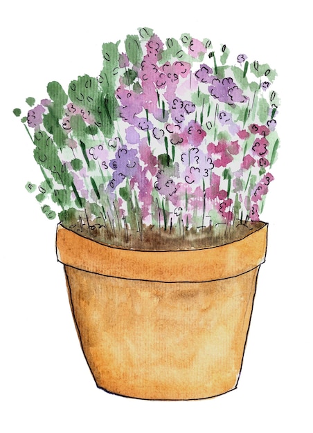 Ingemaakte lavendel plant geïsoleerd op witte aquarel illustratie
