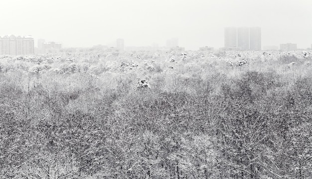 Ingesneeuwde bossen en stadshuizen in de winter