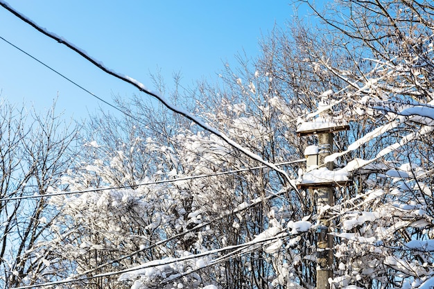 Ingesneeuwde takken van bomen en betonnen paal