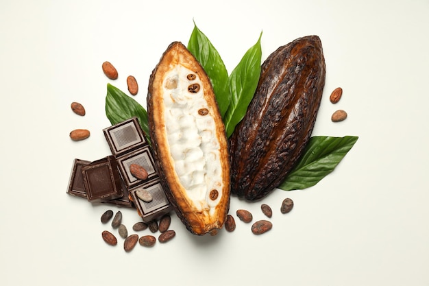 Photo ingredient for making chocolate cocoa cocoa pod