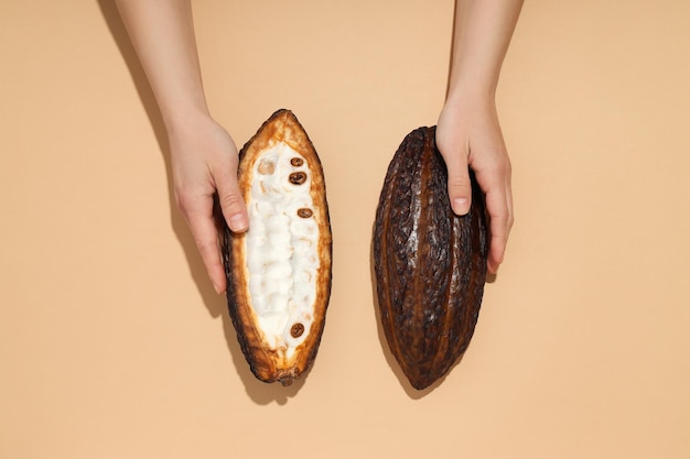 Ingrediënt voor het maken van chocolade cacao cacao pod