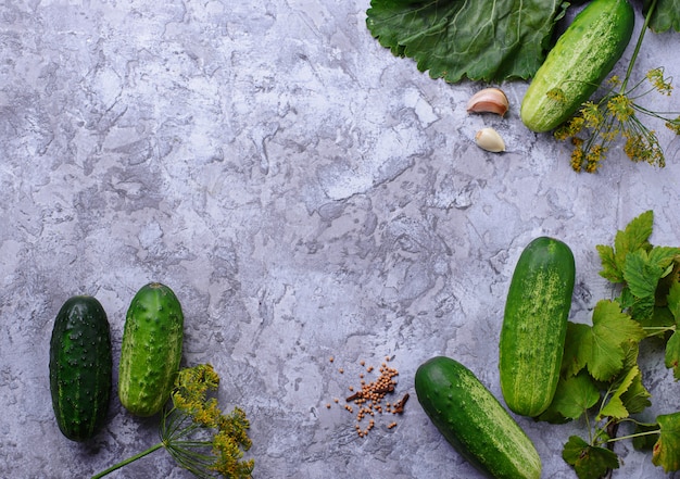 Ingredients for cooking pickled cucumbers