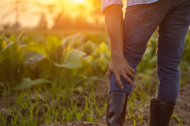 Injuries or Illnesses that can happen to farmers while working Man is using his hand to cover over Calf because of hurt pain or feeling ill