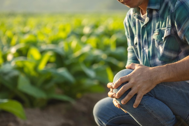 Injuries or Illnesses that can happen to farmers while working Man is using his hand to cover over knee because of hurt pain or feeling ill