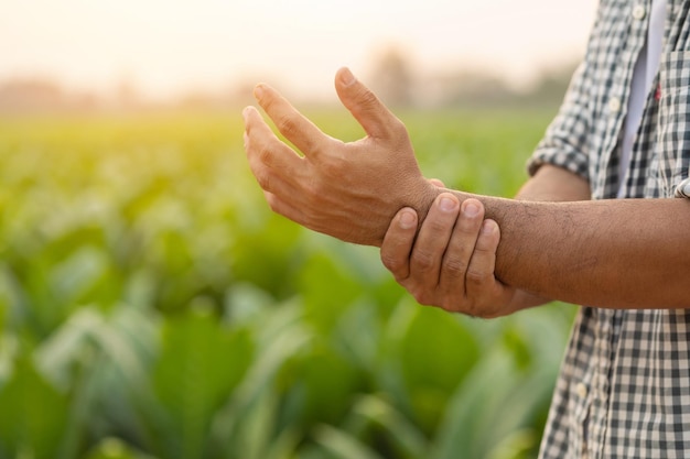 Injuries or Illnesses that can happen to farmers while working Man is using his hand to cover over wrist because of hurt pain or feeling ill