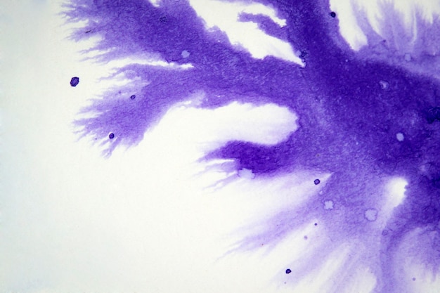 Ink drips on white paper