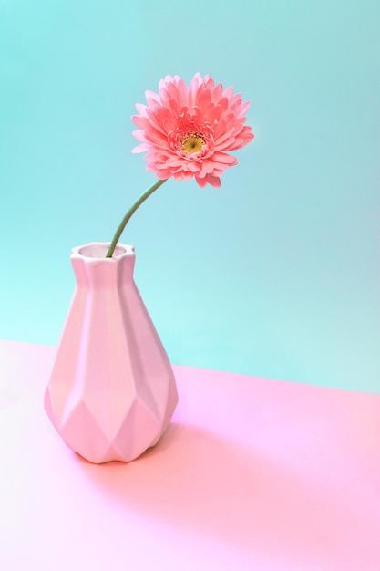 ink gerbera flower in vase on pastel two tone pink turquoise Creative minimal floral concept