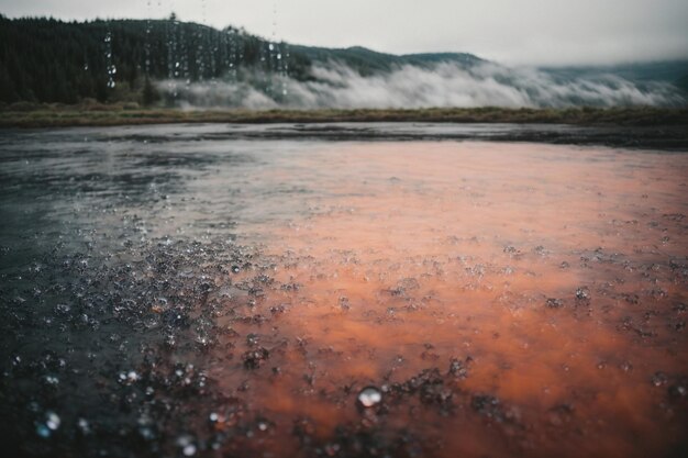 インクと水のドロップの抽象的な背景