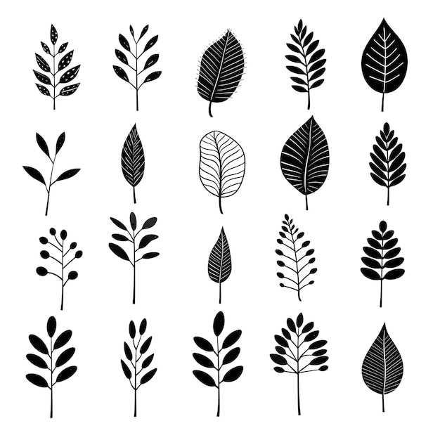 Inked expressions depicting the beauty of black and white leaves