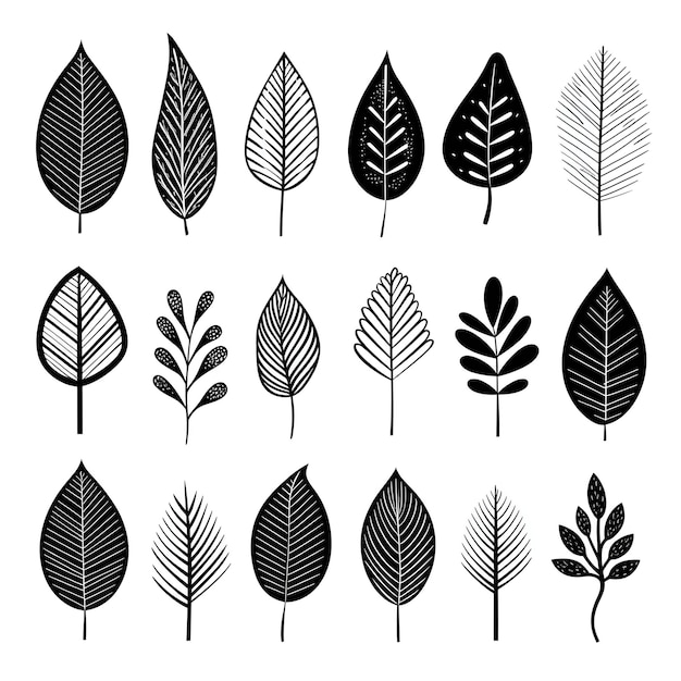 잉크로 된 평온함 손으로 그린 단색 잎자루 예술