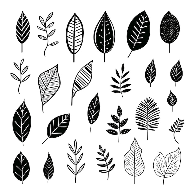 Inkt uitdrukkingen die de schoonheid van eenkleurige bladeren weergeven