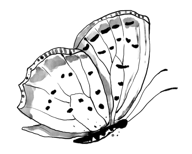 Inkt vlinder png sticker lijn kunst ontwerp element