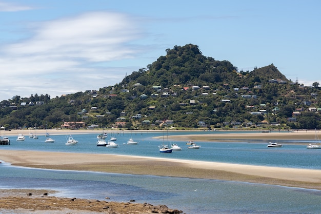 Ingresso a tairua nuova zelanda