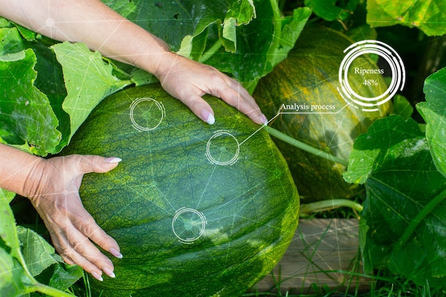 Innovatie slim landbouwbedrijfssysteem. Gebruik kunstmatige intelligentie door agronoom