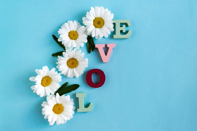 Foto inscriptie liefde van houten letters en kamille bloemen met groene bladeren op blauw