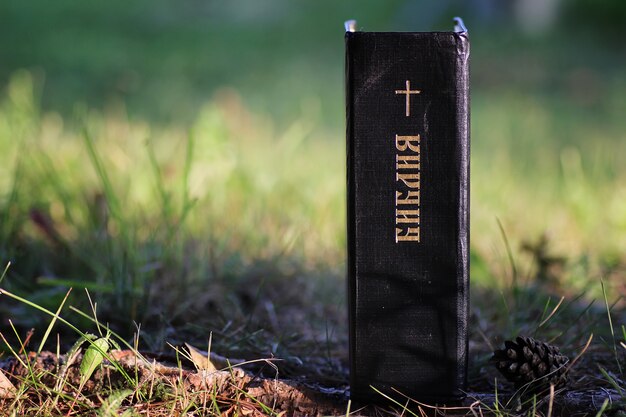 Inscriptie op het boek van de Bijbel "Bijbel" met kruis in de natuur