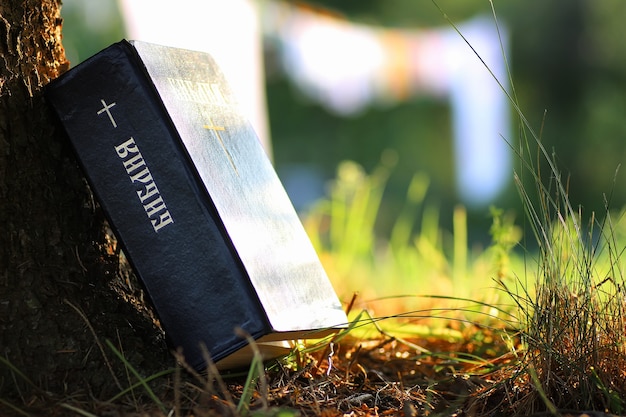 Inscription on the book of the Bible "Bible" with cross in nature