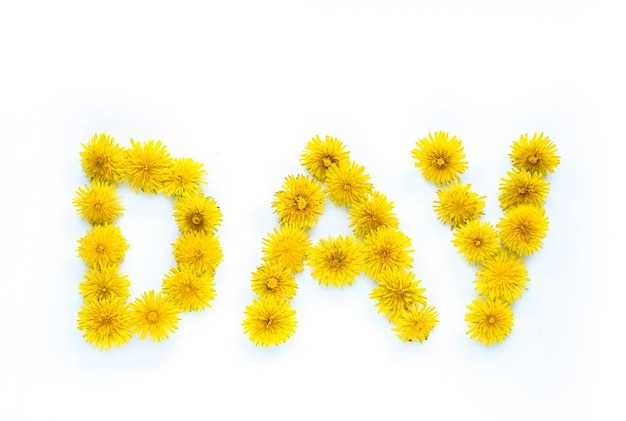 The inscription day from dandelions on a white background