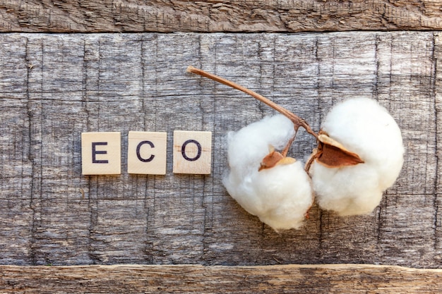 Inscription ECO letters word and cotton flower on old rustic wooden background