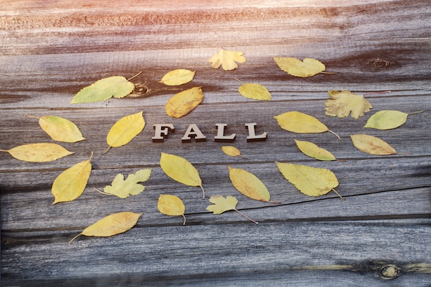 Inscription Fall on a wooden board, yellow leaves