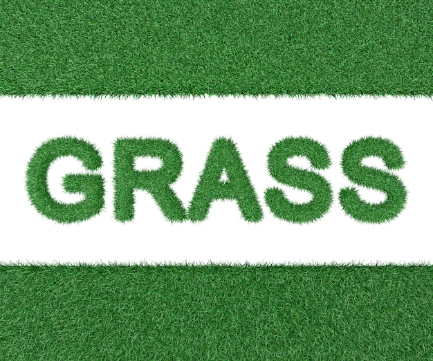 Foto iscrizione erba fatta di erba su sfondo bianco rendering 3d